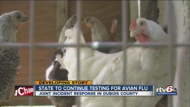 All 400K birds at Indiana farms with bird flu killed