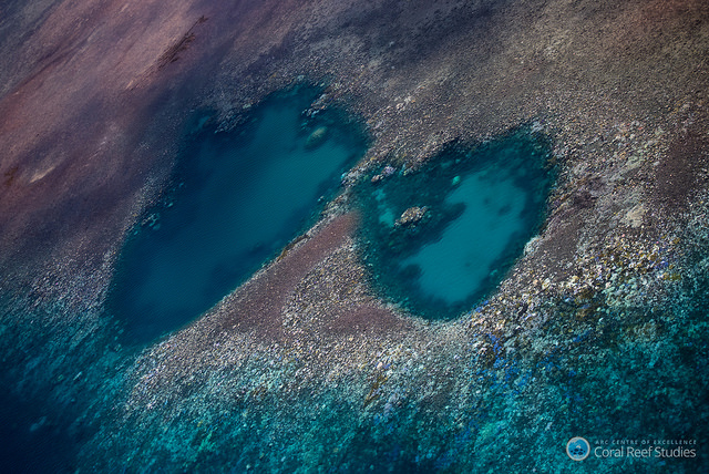 Much of the Great Barrier Reef is bleached beyond fix