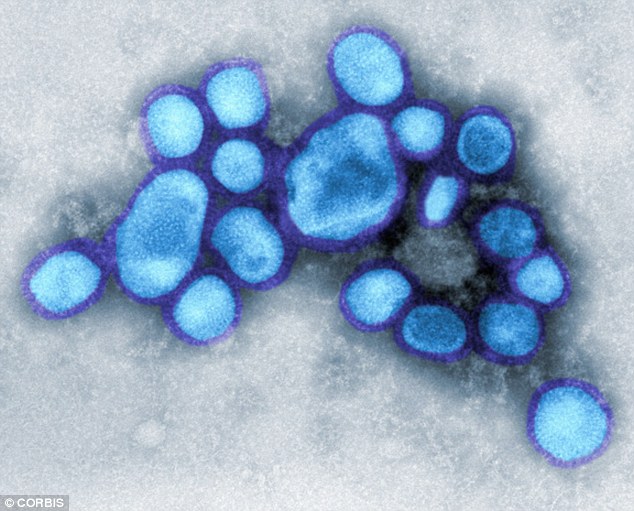 Swine flu sweeps through Punjab as 13 fall prey
