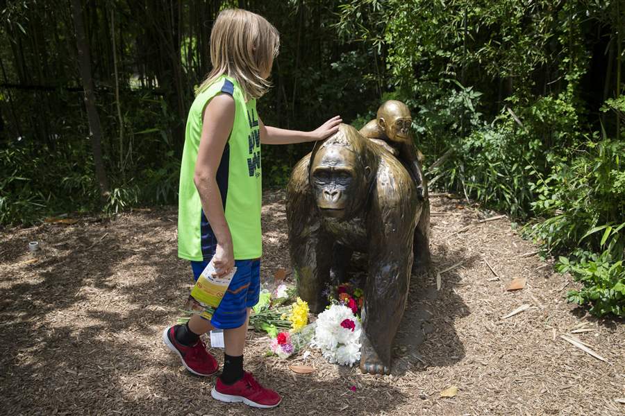 OH zoo reopening exhibit where boy fell, gorilla was shot