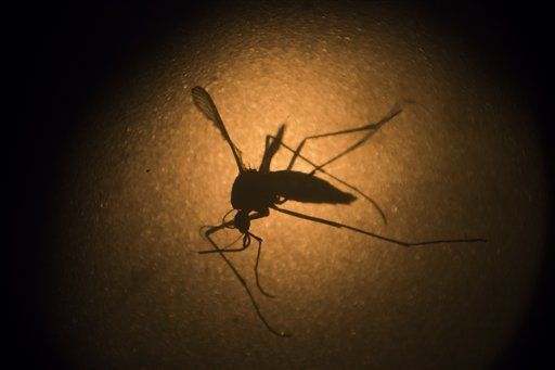 Bharat Biotech claims breakthrough in Zika vaccine development