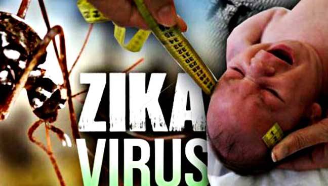 Zika virus can be passed on through saliva and urine