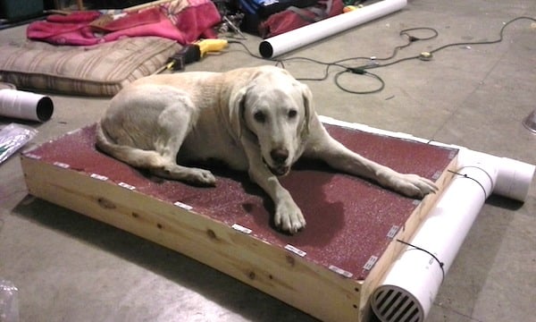 Man Builds His Elderly Dog An Air-Conditioned Bed So She Can Stay Cool On Hot Days