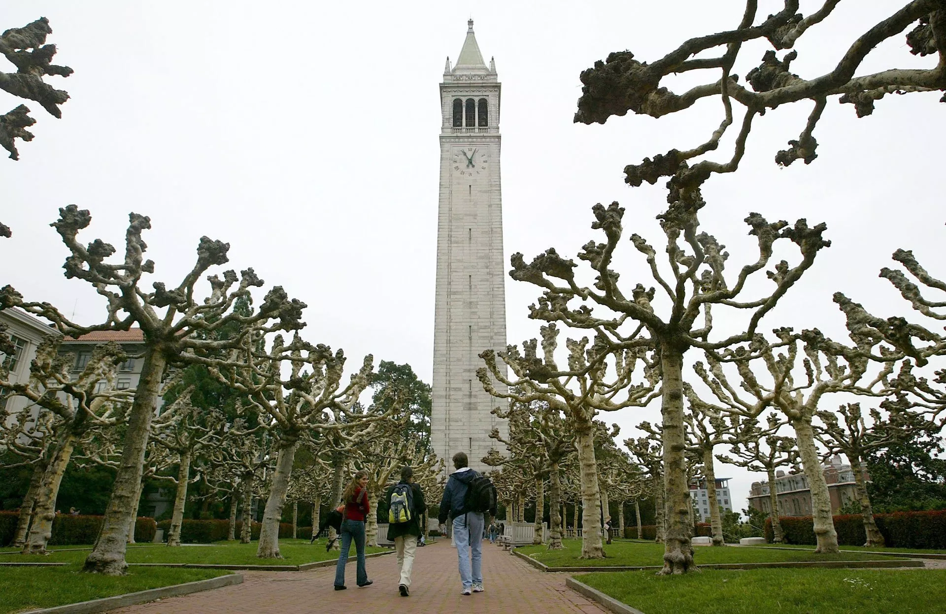 UC Berkeley reveals more staff members involved in sexual misconduct